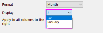 ColProperties Display Month.png