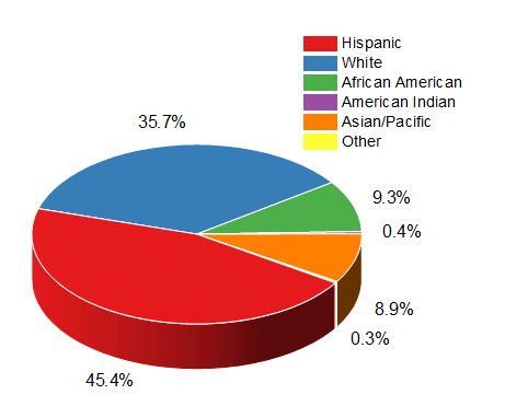 3D Color Pie Chart 1.png