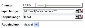 ImgGamma help English files image002.jpg