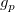 g_p