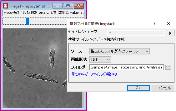 Import multiple image files.png