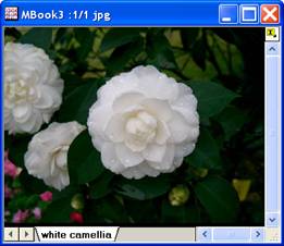 Image:imgColorlevel_help_English_files_image002.jpg