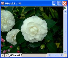 Image:imgColorlevel_help_English_files_image008.jpg