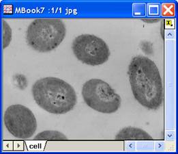Image:imgCrop_help_English_files_image002.jpg