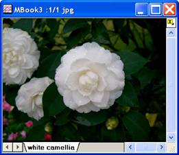 Image:imgFuncLUT_help_English_files_image004.jpg