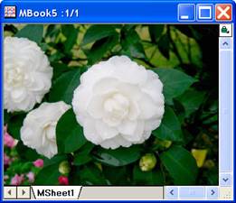 Image:imgFuncLUT_help_English_files_image006.jpg