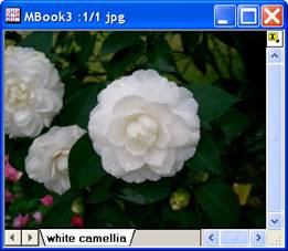 Image:imgGamma_help_English_files_image004.jpg