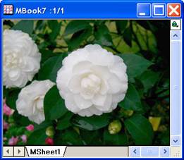Image:imgGamma_help_English_files_image006.jpg