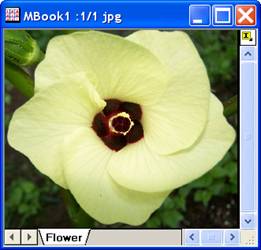 Image:imgGaussian_help_English_files_image004.jpg