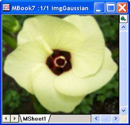 Image:imgGaussian_help_English_files_image006.jpg