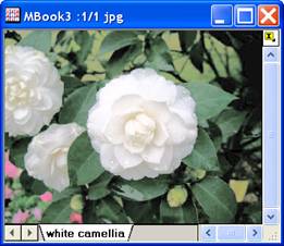Image:imgHisteq_help_English_files_image006.jpg