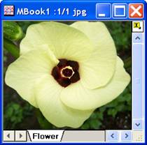 Image:imgInvert_help_English_files_image004.jpg