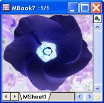 Image:imgInvert_help_English_files_image006.jpg