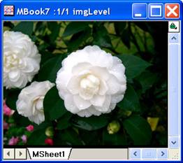 Image:imgLevel_help_English_files_image006.jpg
