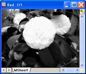 Image:imgRGBmerge_help_English_files_image004.jpg
