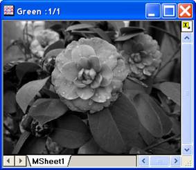 Image:imgRGBmerge_help_English_files_image006.jpg