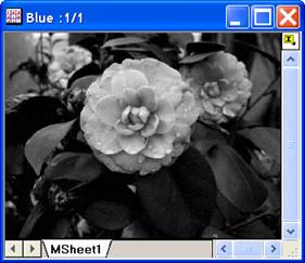 Image:imgRGBmerge_help_English_files_image008.jpg