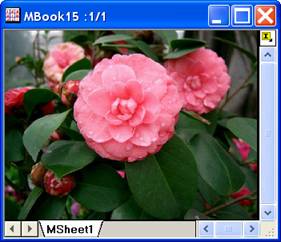 Image:imgRGBmerge_help_English_files_image010.jpg