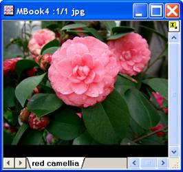 Image:imgRGBsplit_help_English_files_image004.jpg