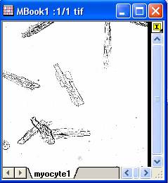 Image:imgReplaceBg_help_English_files_image006.jpg