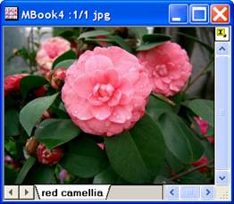 Image:imgSaturation_help_English_files_image004.jpg