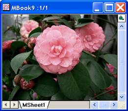 Image:imgSaturation_help_English_files_image006.jpg
