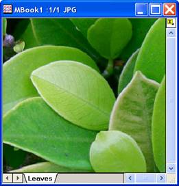 Image:imgSharpen_help_English_files_image004.jpg