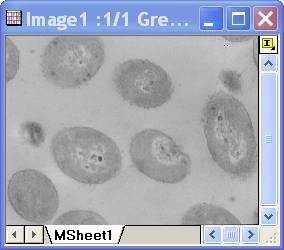 Image:imgSimpleMath_help_English_files_image004.jpg