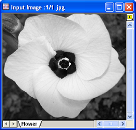 Image:BKSubMethod2Input.png