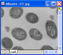 Image:imgThreshold_help_English_files_image004.jpg