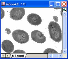 Image:imgThreshold_help_English_files_image006.jpg
