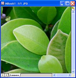 Image:imgUnsharpmask_help_English_files_image004.jpg