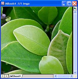 Image:imgUnsharpmask_help_English_files_image006.jpg