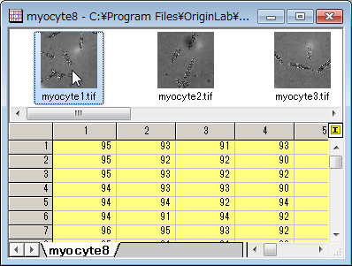 ImpImage example result.png