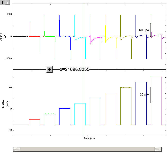 Image:PlotpClamp_Concatenated.jpg