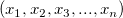 \left (x_1, x_2, x_3, ..., x_n \right )