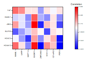 Asymmetric Correlation Matrix