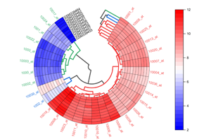Polar Heatmap with Dendrogram