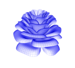 <b>Rose</b>: Reproduced with permission from <a href="http://www.bugman123.com/" target="_blank" >Paul Nylander</a>