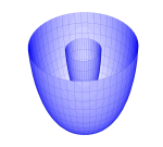 Spindle Torus