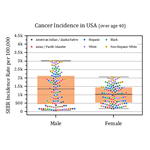 Cancer Incidence in USA